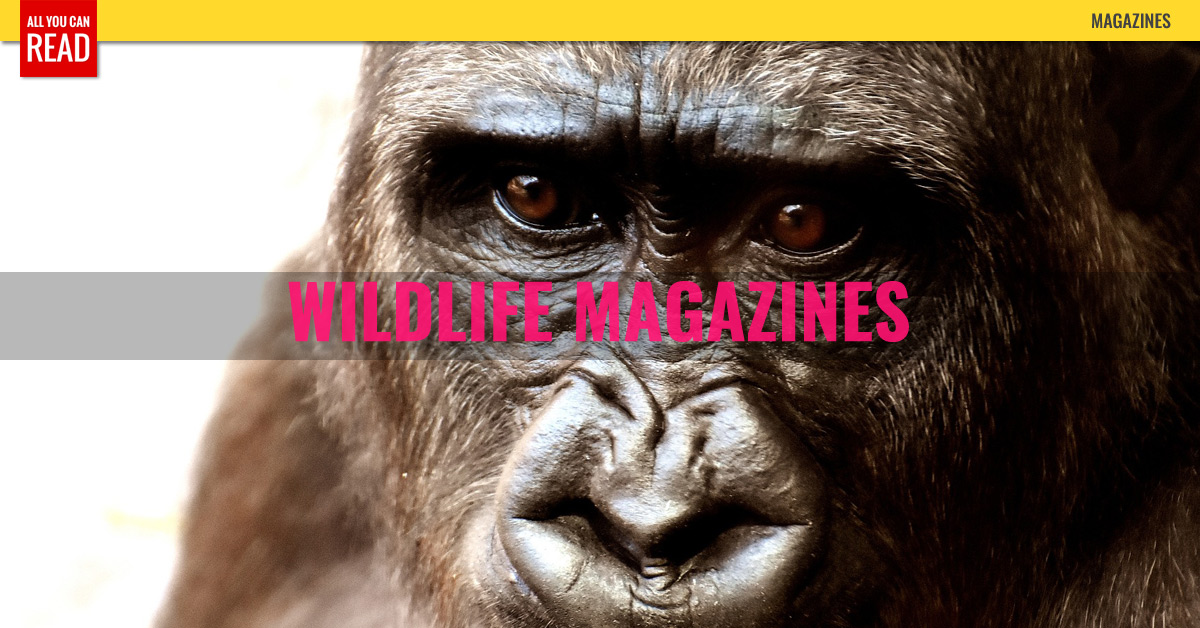 Best Wildlife Magazines For Kids Best Wildlife Magazines For Kids