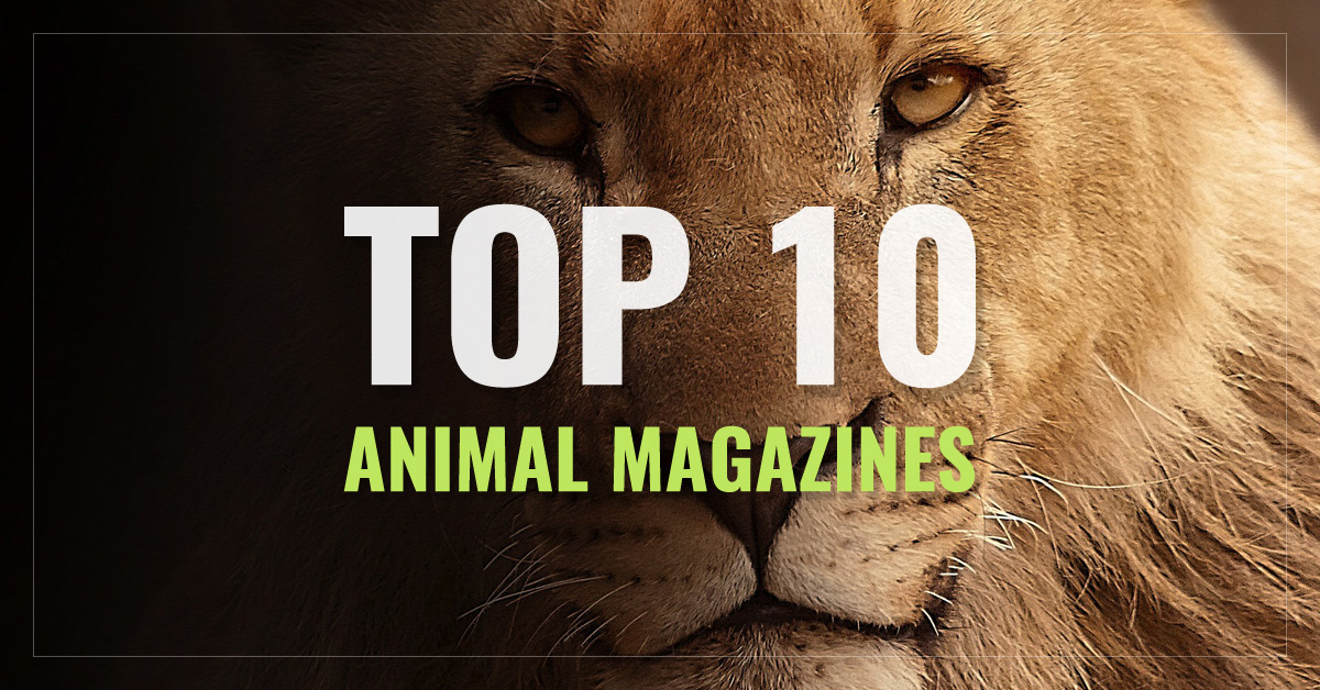 
 Top 10 Animal Magazines
