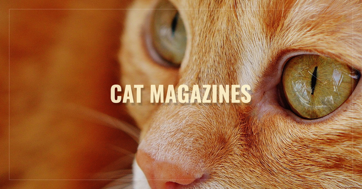 
 Cat Magazines
