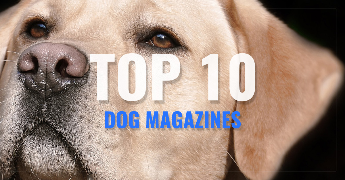 
 Dog Magazines
