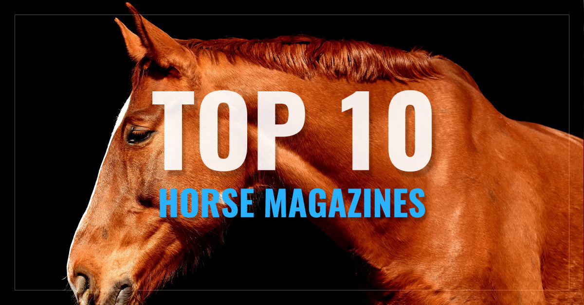 Top 10 Horse Magazines - Practical Horseman, Prorodeo Sports News 