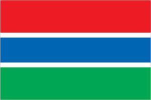 Gambia Newspapers & News Media - Banjul News - AllYouCanRead.com